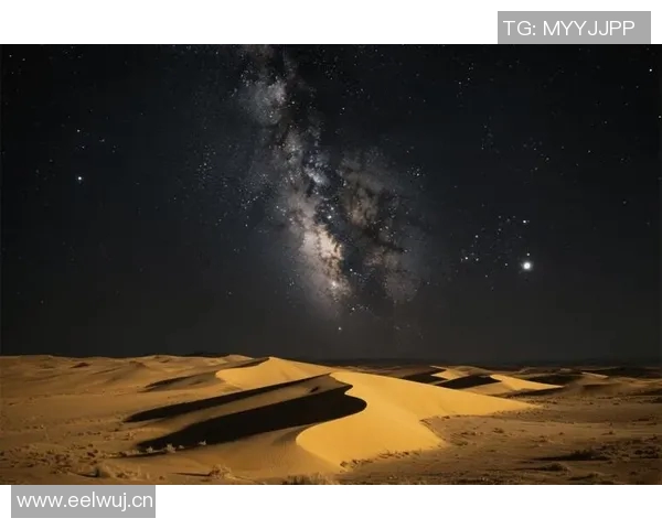 深度探讨刘强在和平精英中的人生哲学与游戏策略 深度探讨刘强在和平精英中的人生哲学与游戏策略